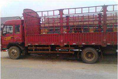 惠陽(yáng)至金門(mén)17米平板車(chē)出租，專(zhuān)業(yè)貨物運(yùn)輸解決方案