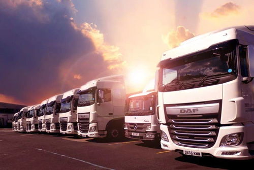 網(wǎng)絡(luò)貨運平臺如何高效整合車貨資源